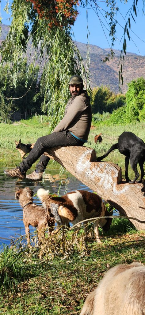 Paseo con los perros de HRBF